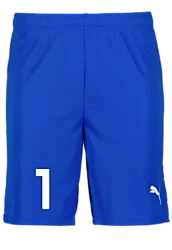 391942102101 PUMA T Goal Shorts 391942102101 PUMA T Goal Shorts Standard Small1x1
