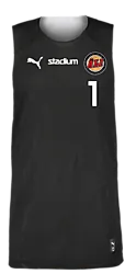 387569101101 PUMA Hoops Team Reverse Practice Jersey 387569101101 PUMA Hoops Team Reverse Practice Jersey Standard Small1x1