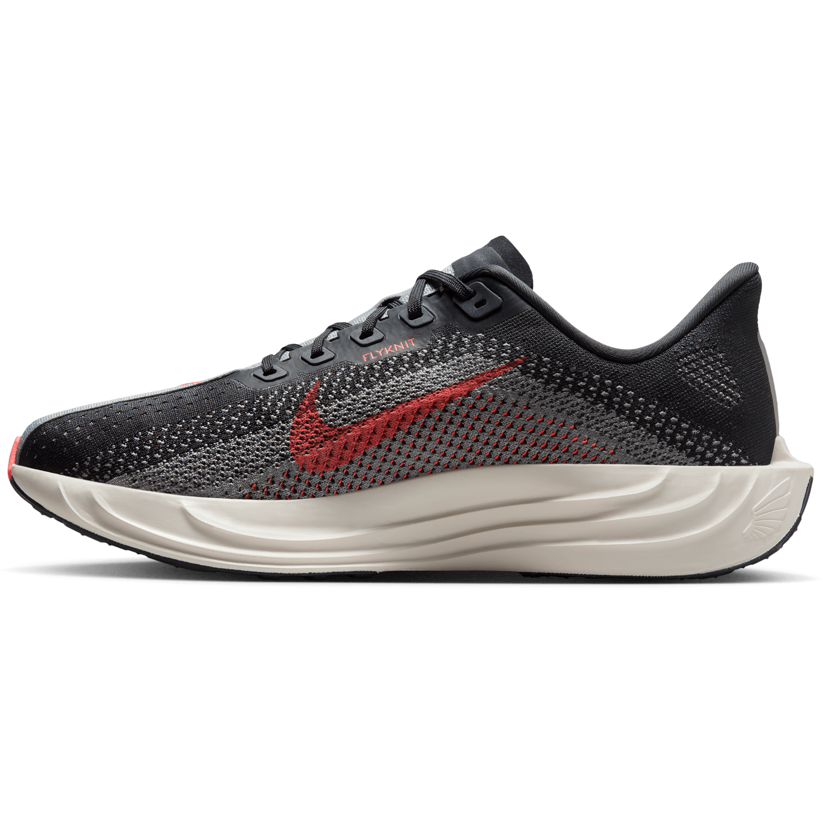 NIKE, M Pegasus Plus