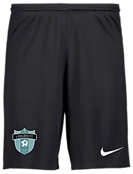 298936101101 NIKE Park III Short 298936101101 NIKE Park III Short Standard Small1x1