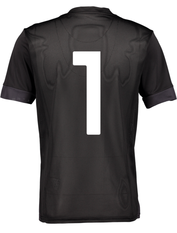 PUMA, T Goal Matchday Jsy