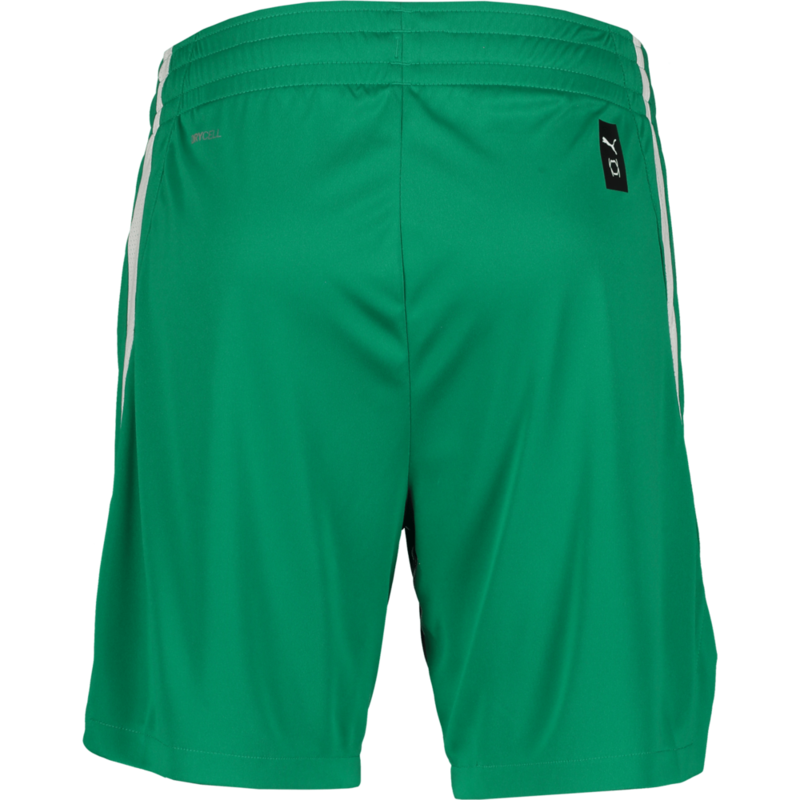 PUMA, TEAMJAWS STARTER SHORTS