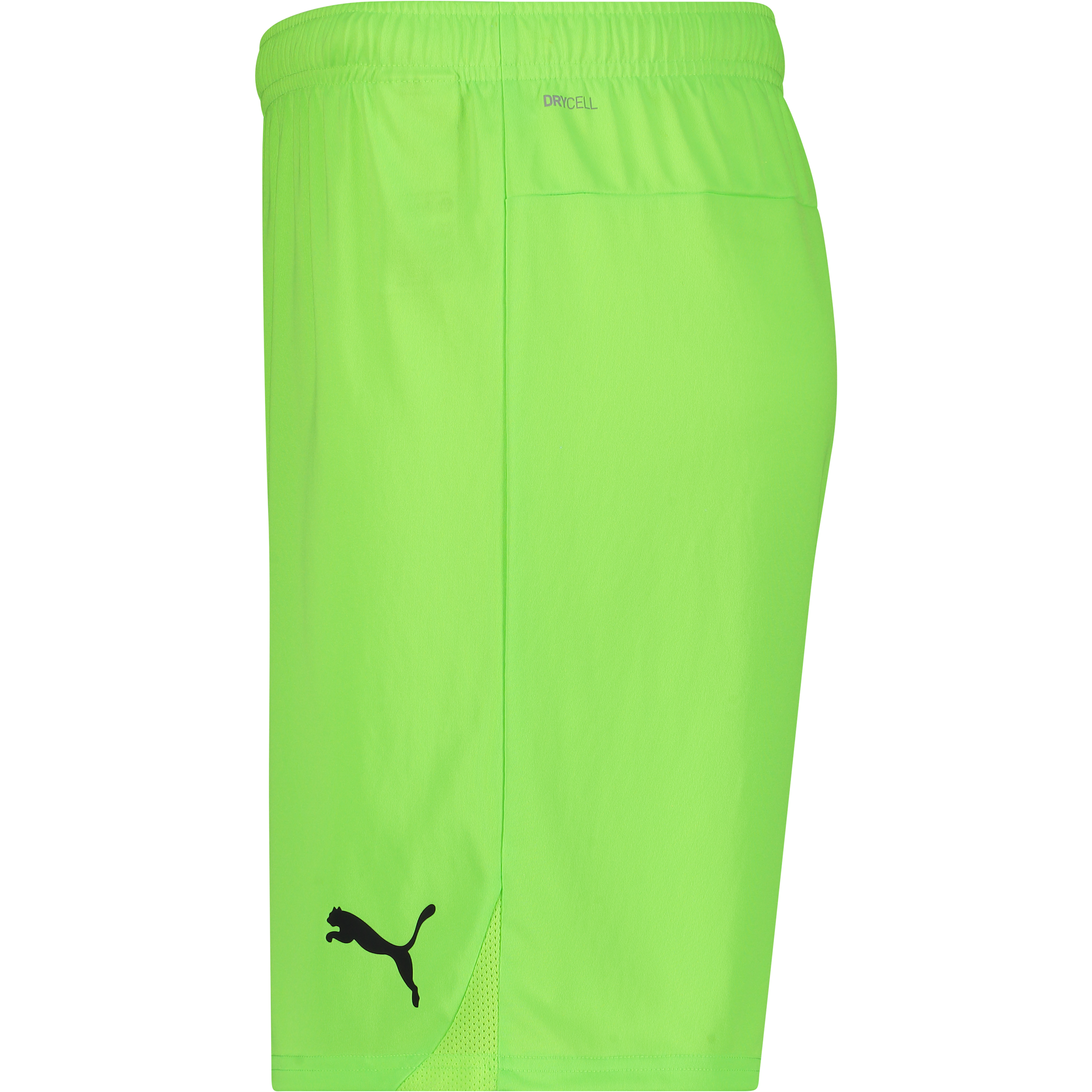 PUMA, T Goal Shorts