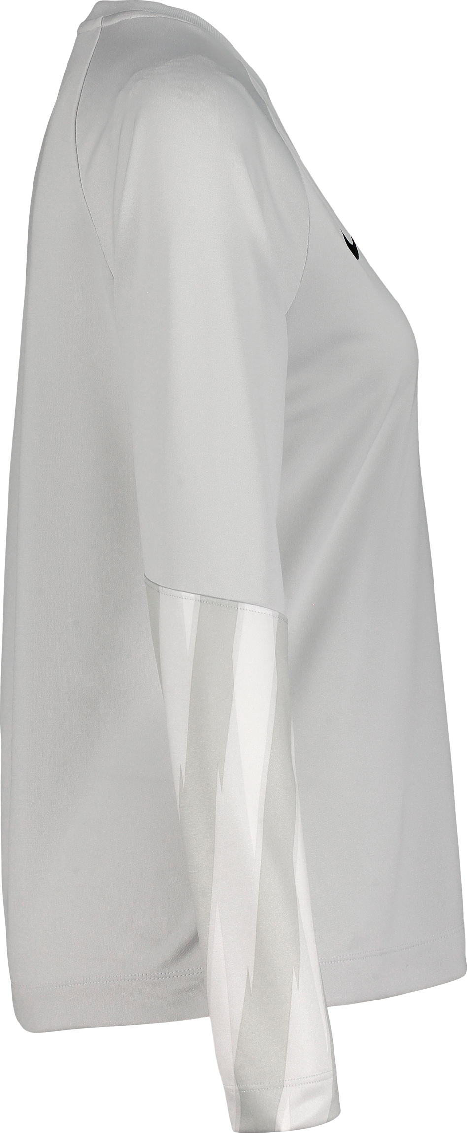 NIKE, PARK V GK LS JSY W