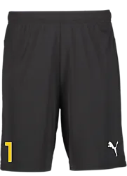 392286103101 PUMA T Goal Shorts Jr 392286103101 PUMA T Goal Shorts Jr Standard Small1x1