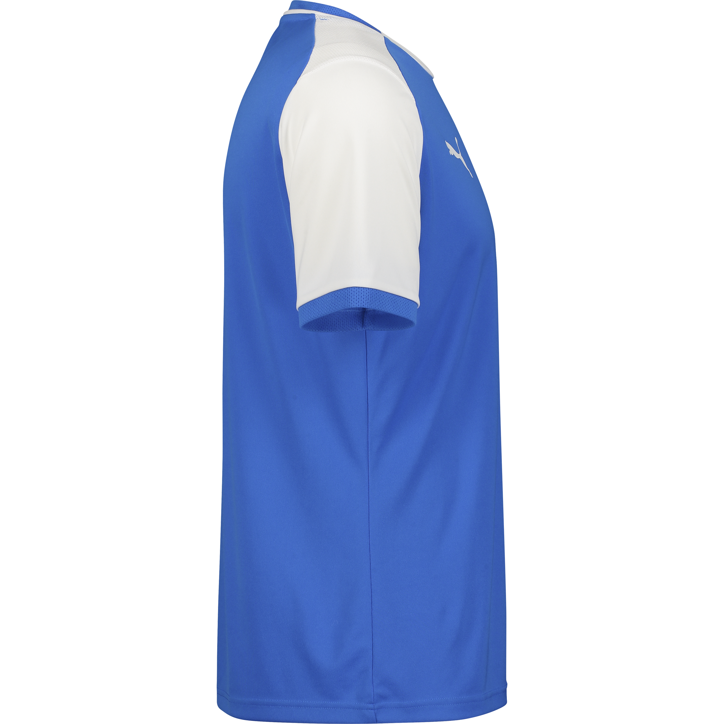 PUMA, TEAMLIGA26 MATCHDAY JERSEY