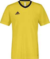358914110101 ADIDAS Ent22 Jsy Tee 358914110101 ADIDAS Ent22 Jsy Tee Standard Small1x1
