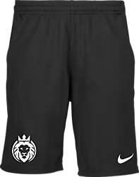 323389101101 NIKE Park20 Short 323389101101 NIKE Park20 Short Standard Small1x1