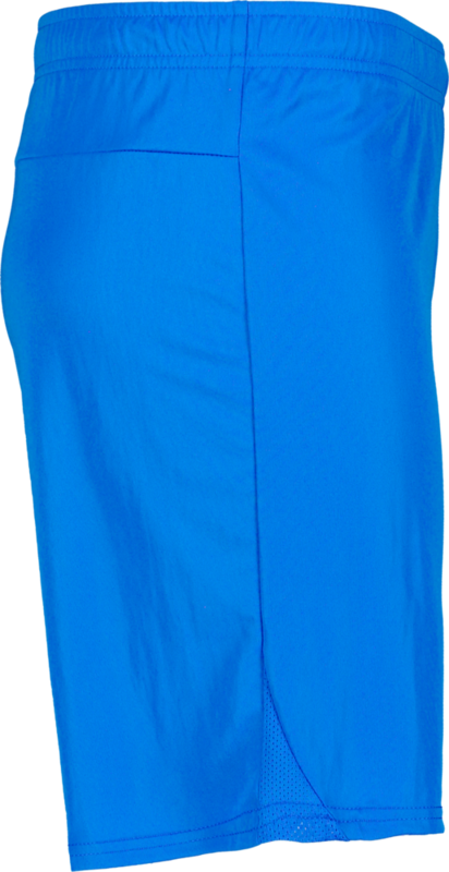 PUMA, T Goal Shorts