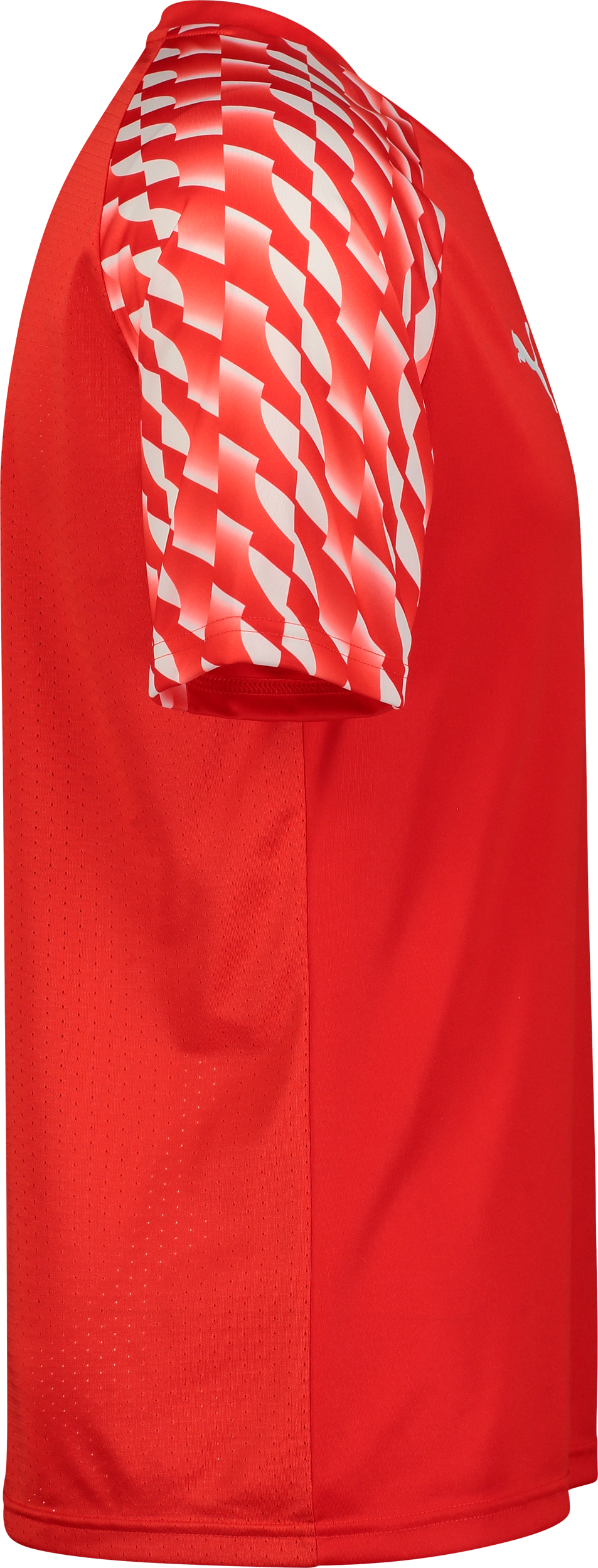 PUMA, TEAMLIGA26 JERSEY JR