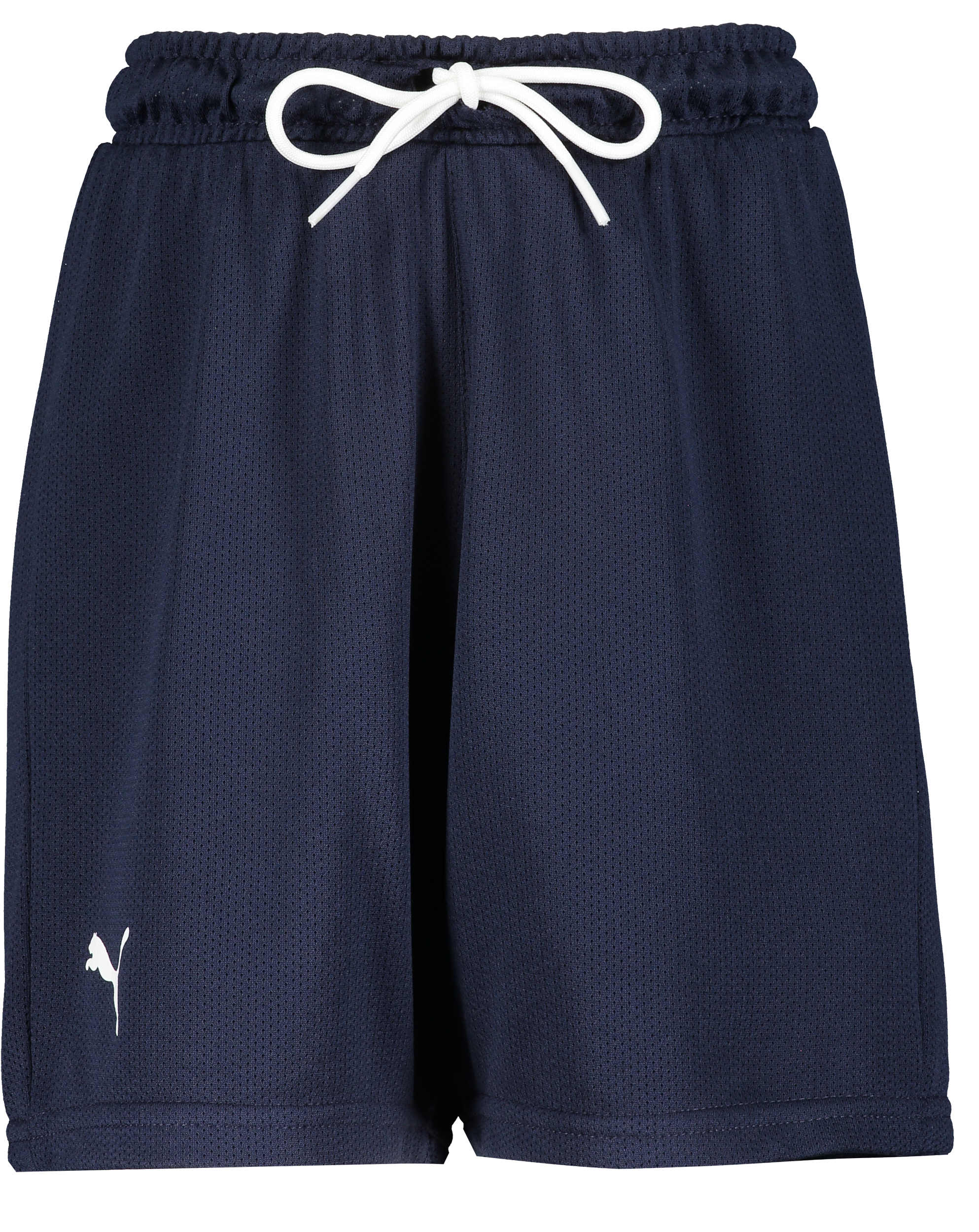 
PUMA, 
Hoops Team Junior Practice Short, 
Detail 1
