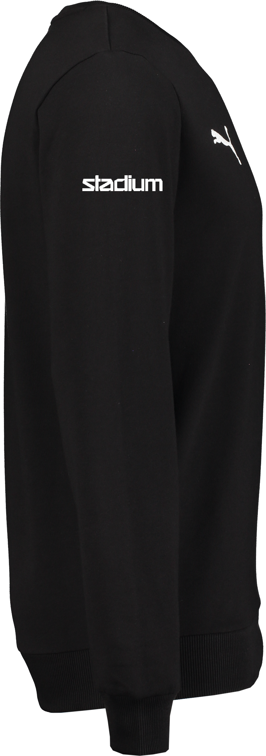 PUMA, T GOAL CAS CREW SWEAT JR