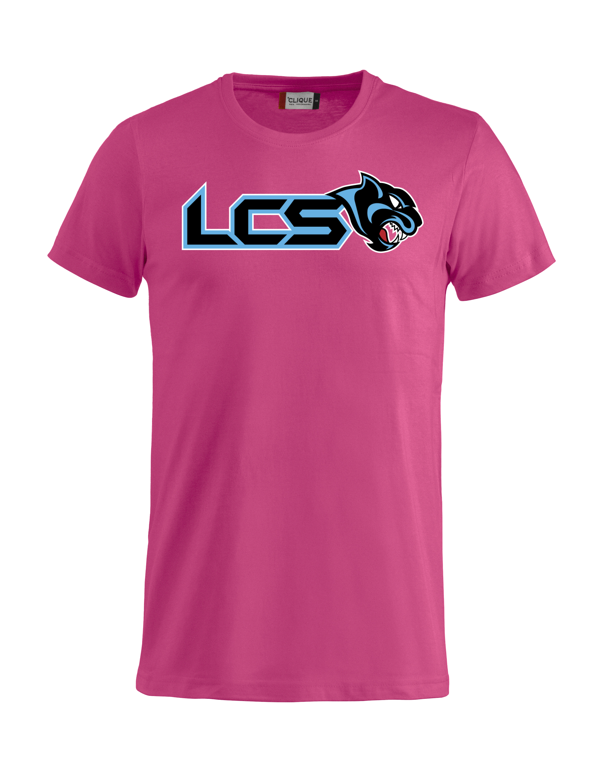 
CLIQUE, 
Basic-T, 
Detail 1
