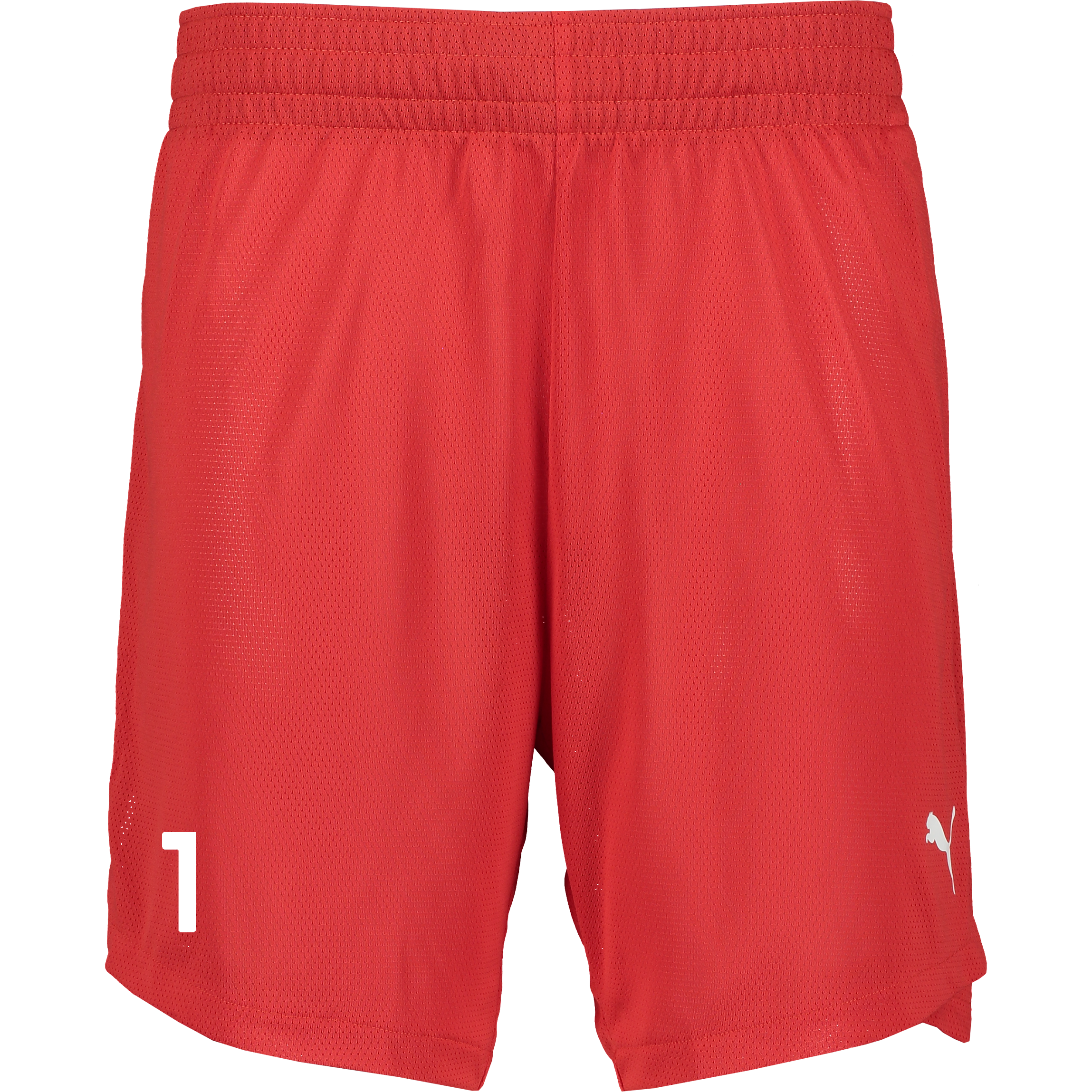 
PUMA, 
TEAMJAWS PRACTICE SHORTS, 
Detail 1
