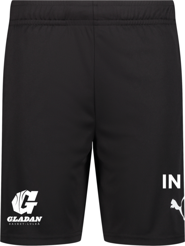
PUMA, 
TEAMLIGA TRAINING SHORTS, 
Detail 1

