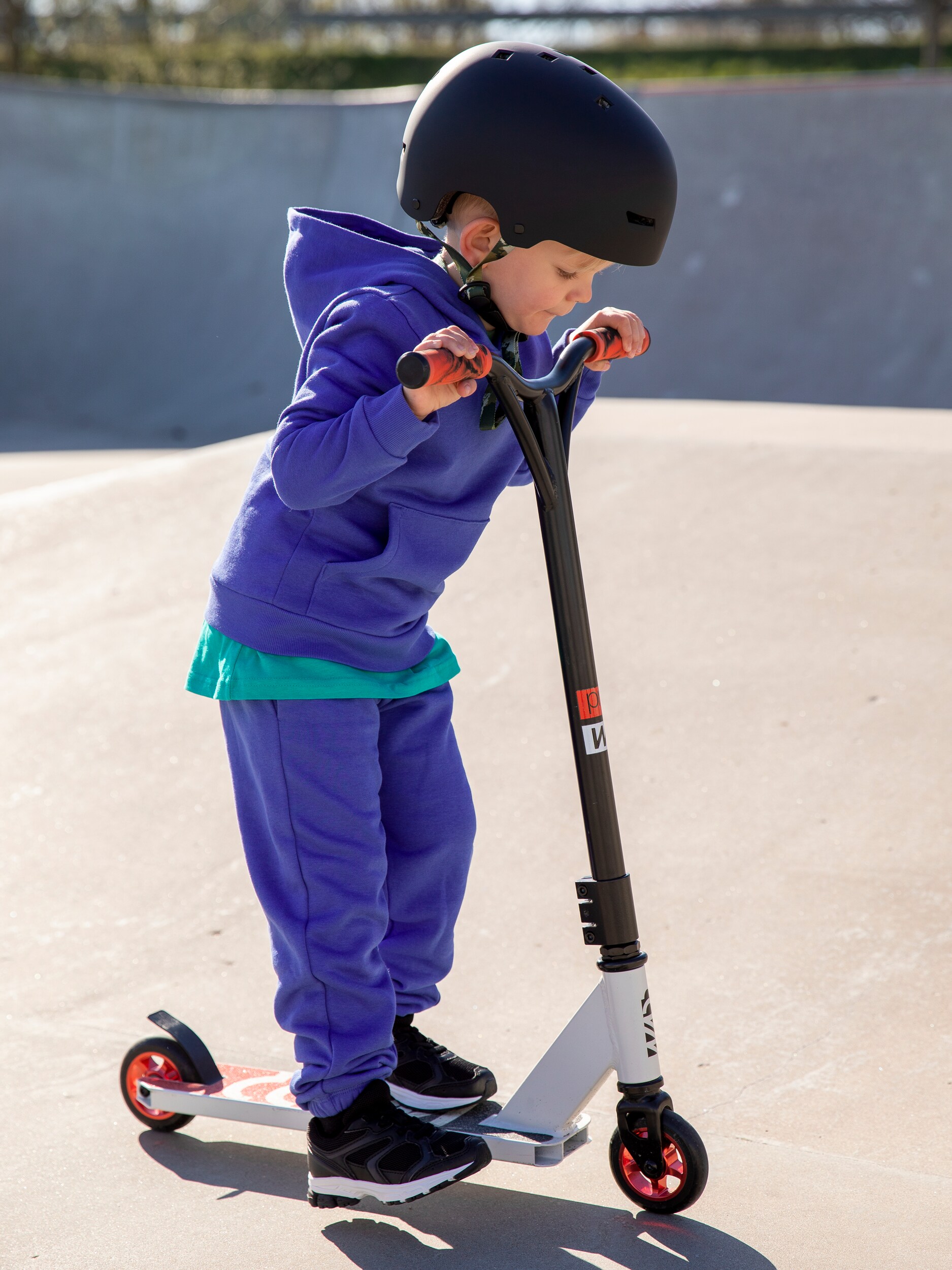 
WARP, 
Whip Pro, 
Detail 1
