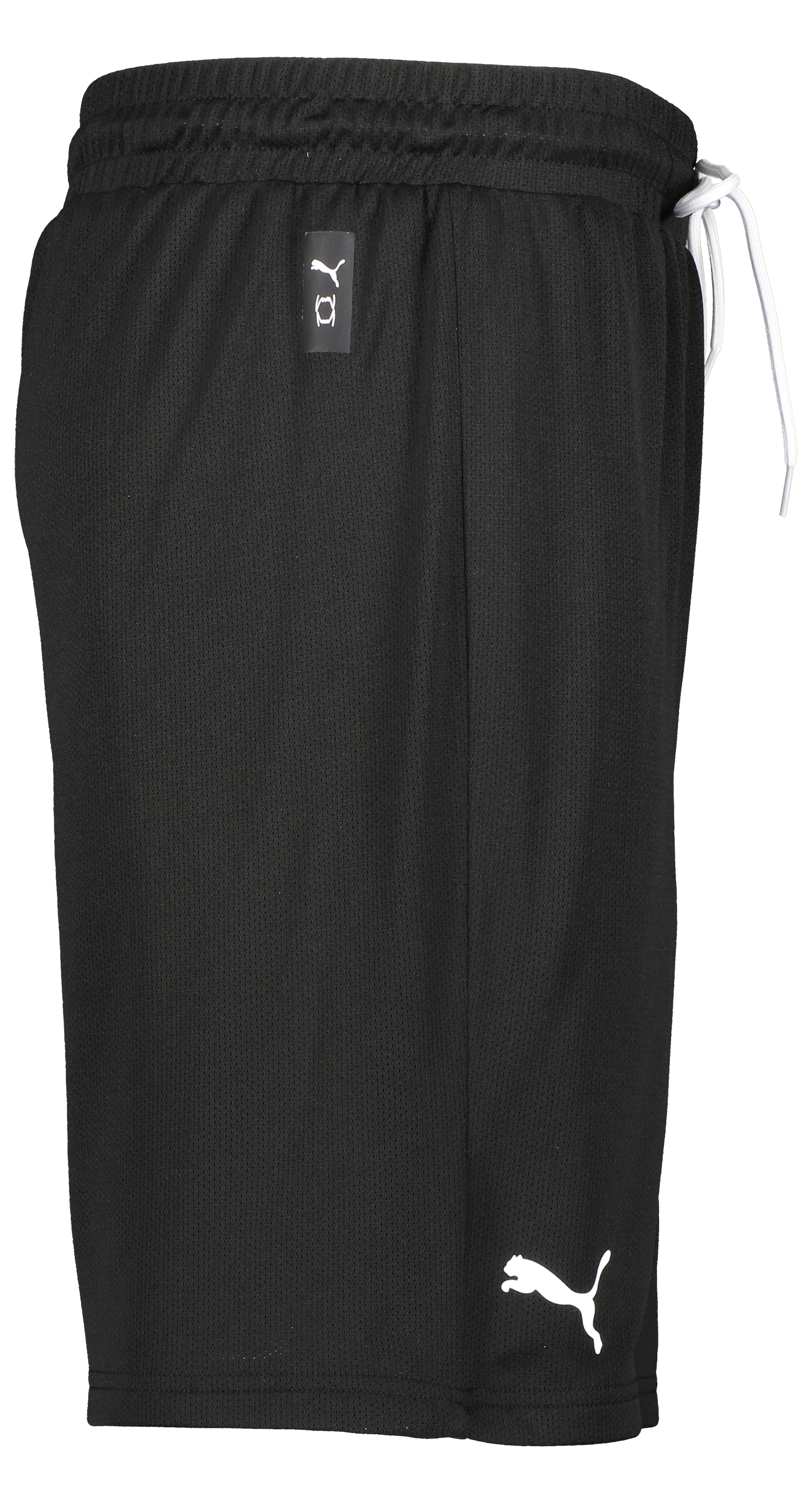 PUMA, Hoops Team Practice Short