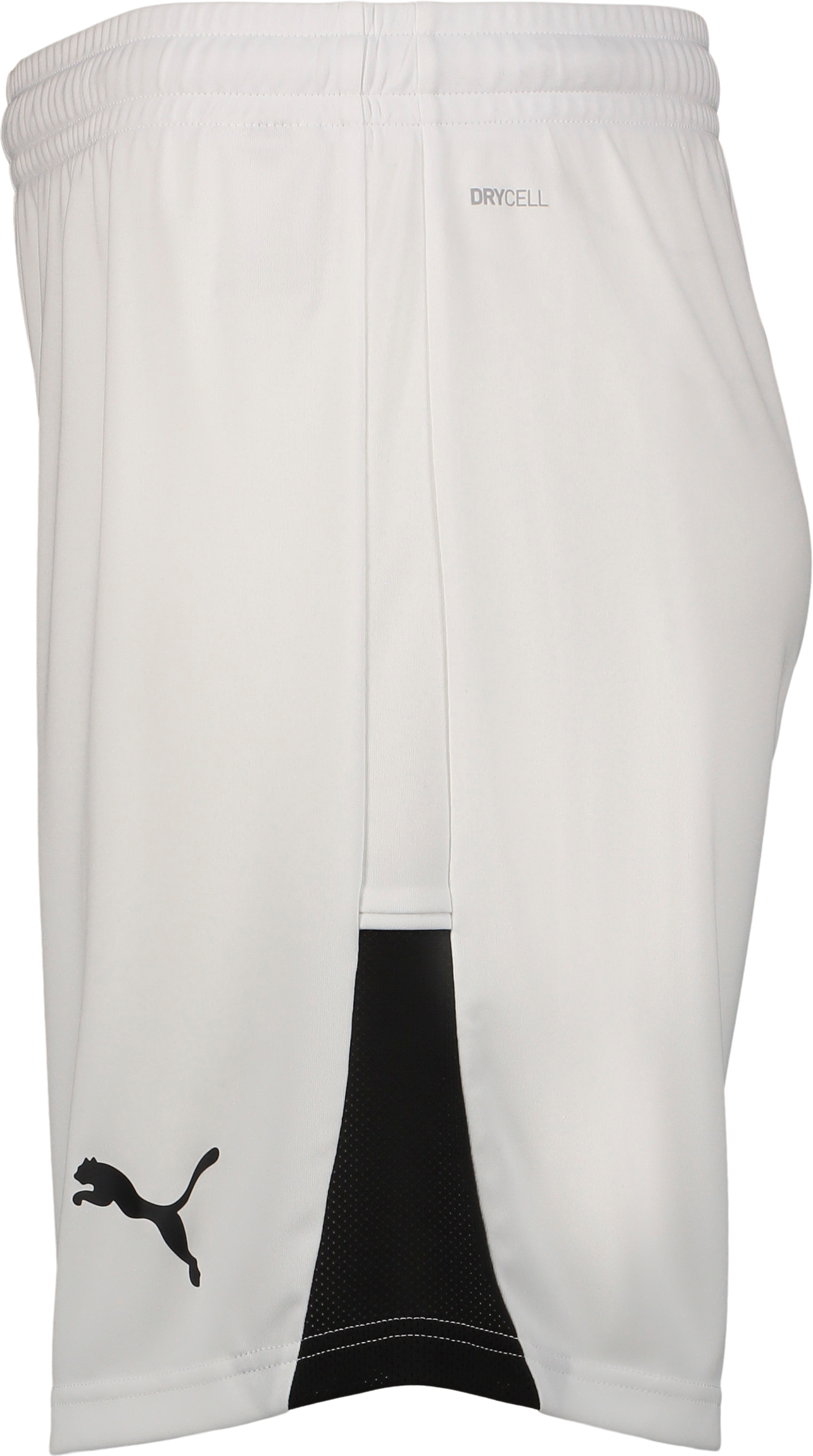 PUMA, TEAMLIGA26 SHORTS