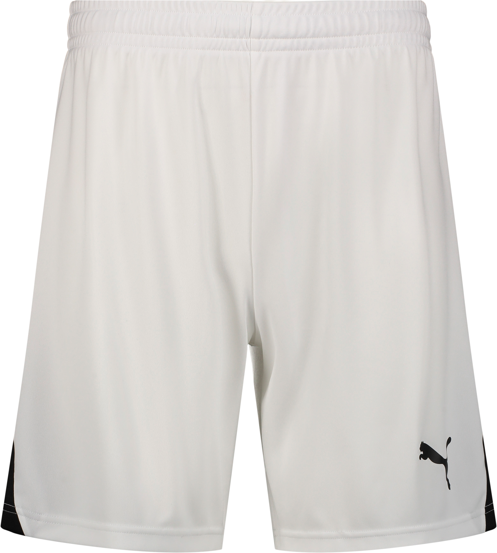 
PUMA, 
TEAMLIGA26 SHORTS JR, 
Detail 1
