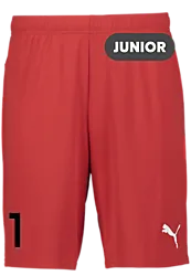 392286101101 PUMA T Goal Shorts Jr 392286101101 PUMA T Goal Shorts Jr Standard Small1x1