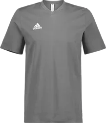 Ent22 Tee - Grey Standard Small1x1