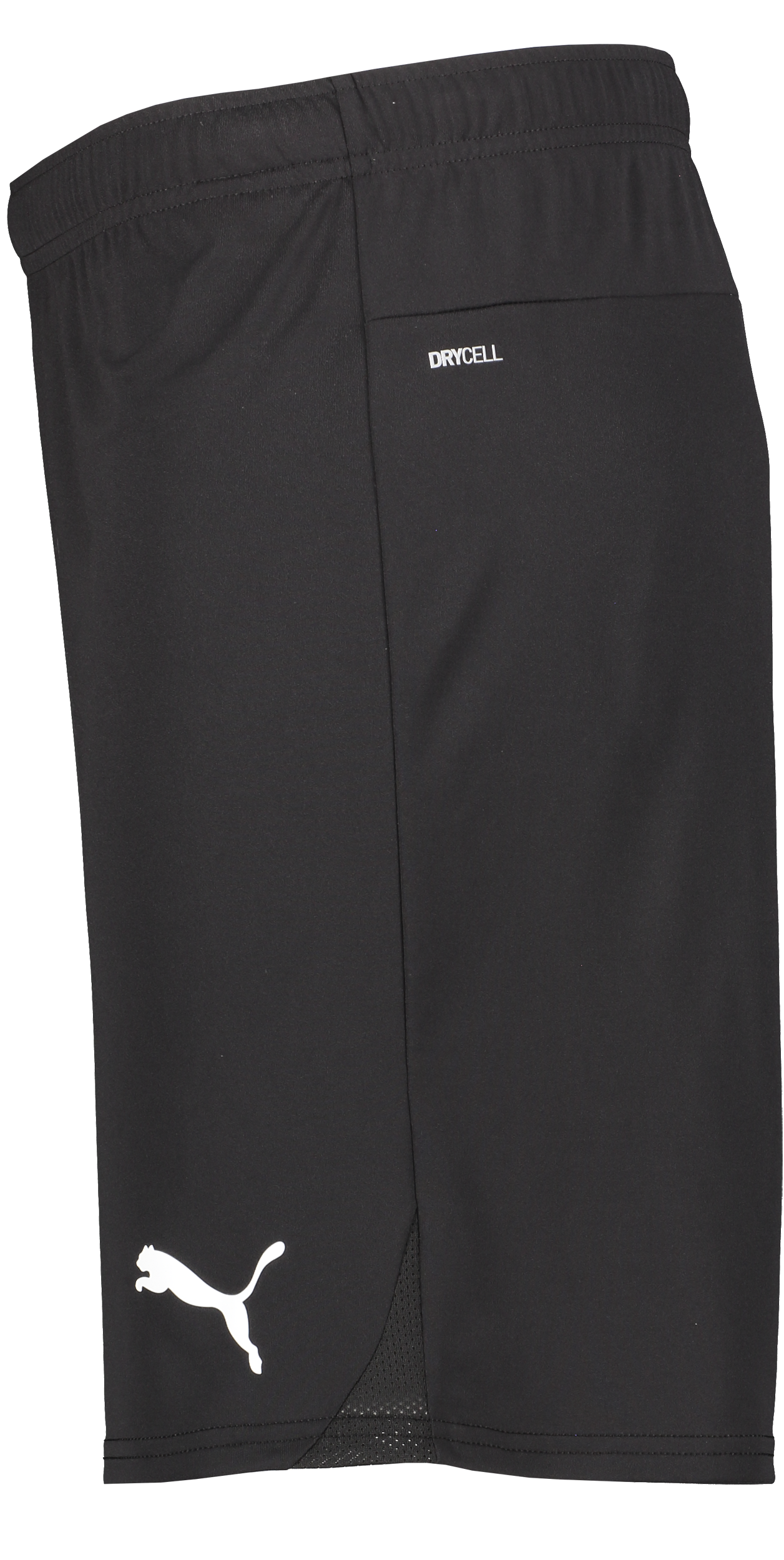 PUMA, T Goal Shorts