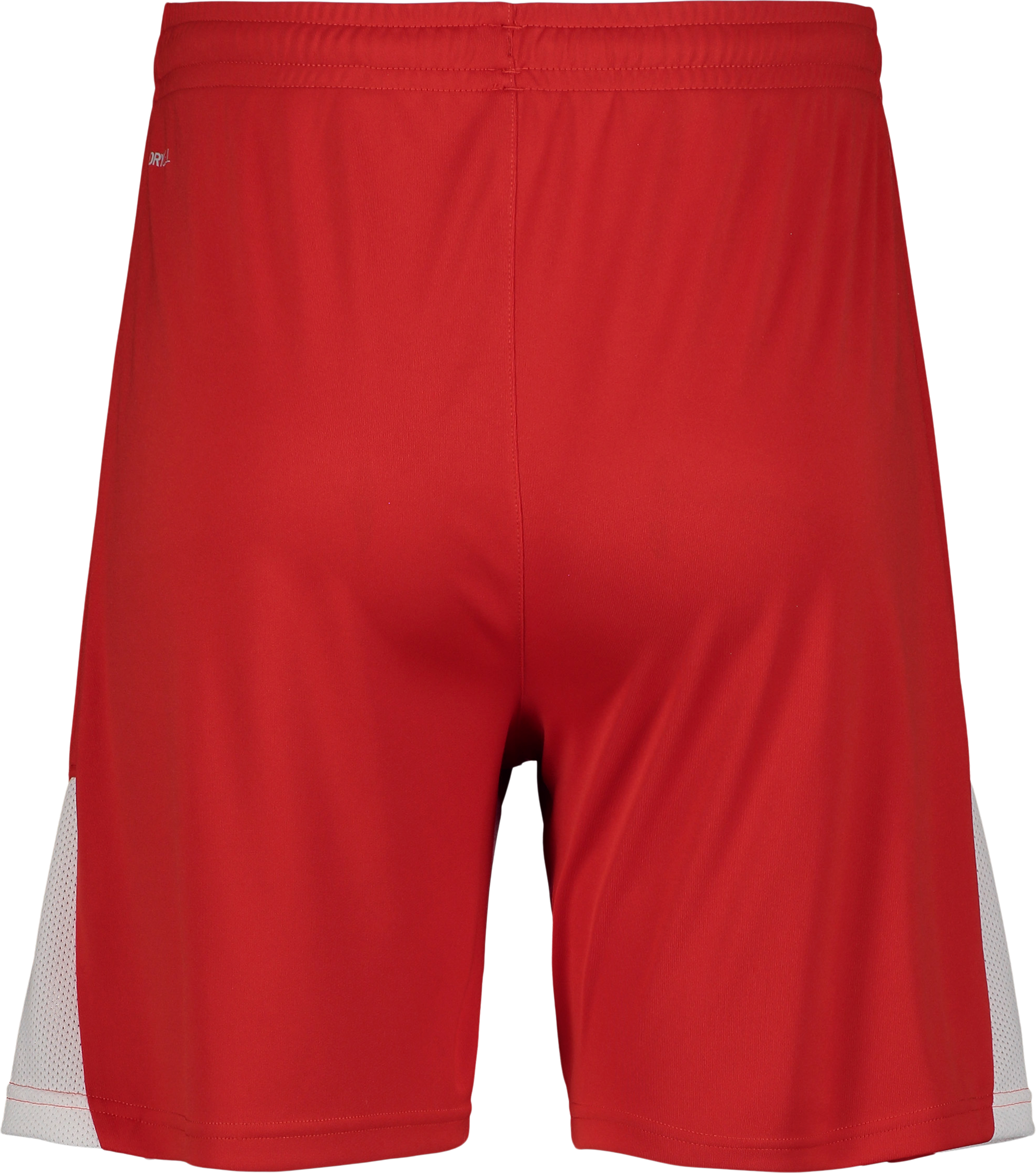 PUMA, TEAMLIGA26 SHORTS JR