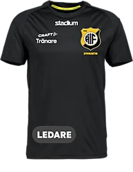 321481107101 CRAFT Evolve Tee 321481107101 CRAFT Evolve Tee Standard Small1x1