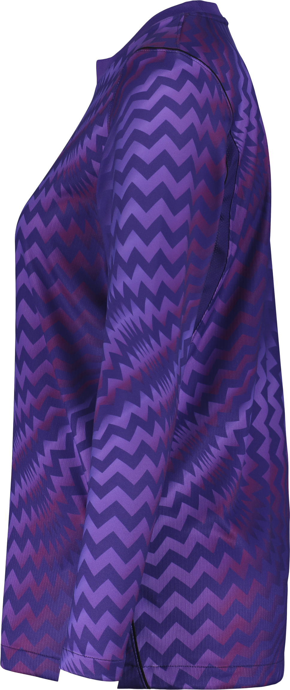 NIKE, GARDIEN VI GK LS JSY W