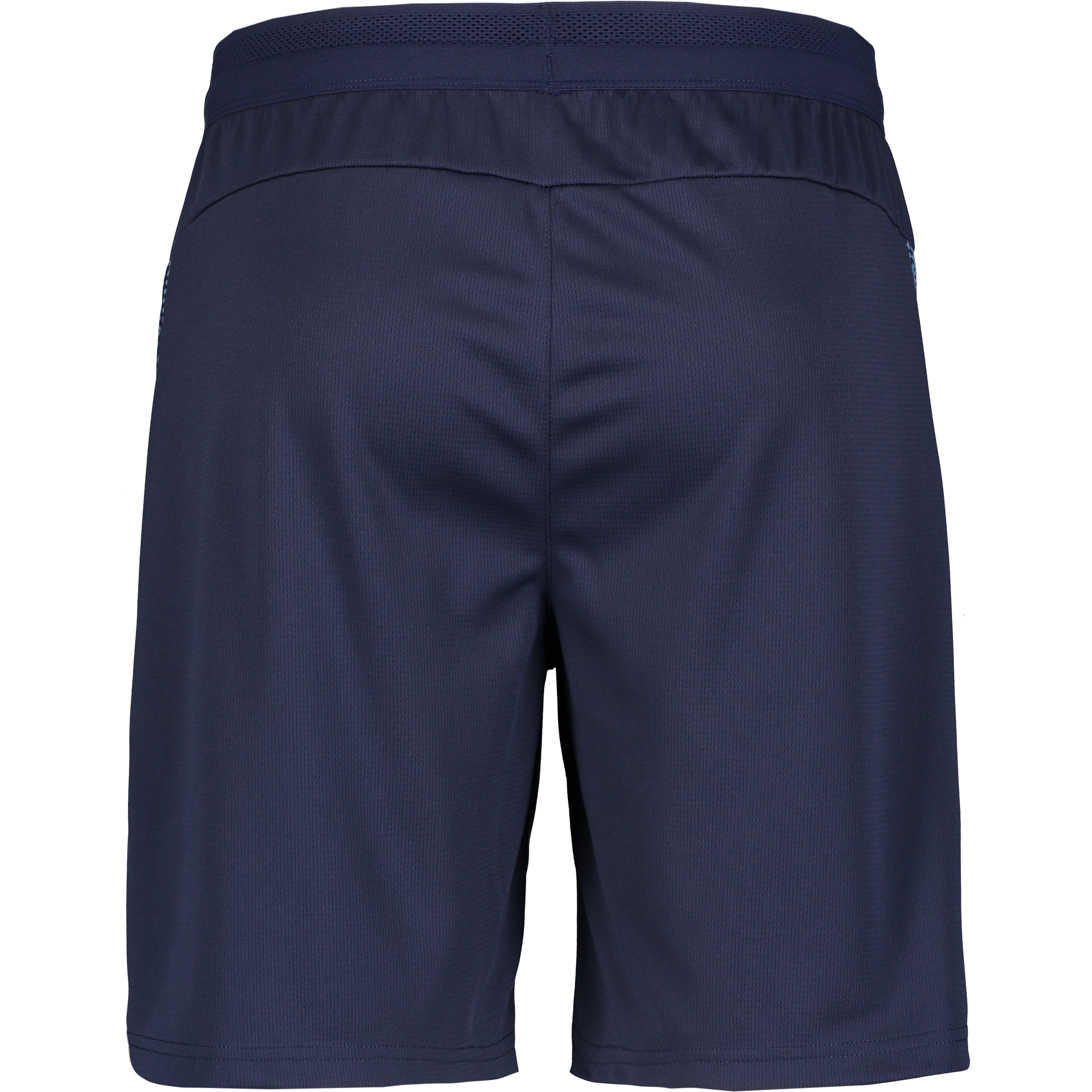 PUMA, Teamcup Training Shorts