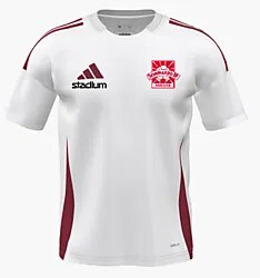 394611102101 ADIDAS Cu Tiro24 C Jsy 394611102101 ADIDAS Cu Tiro24 C Jsy Standard Small1x1