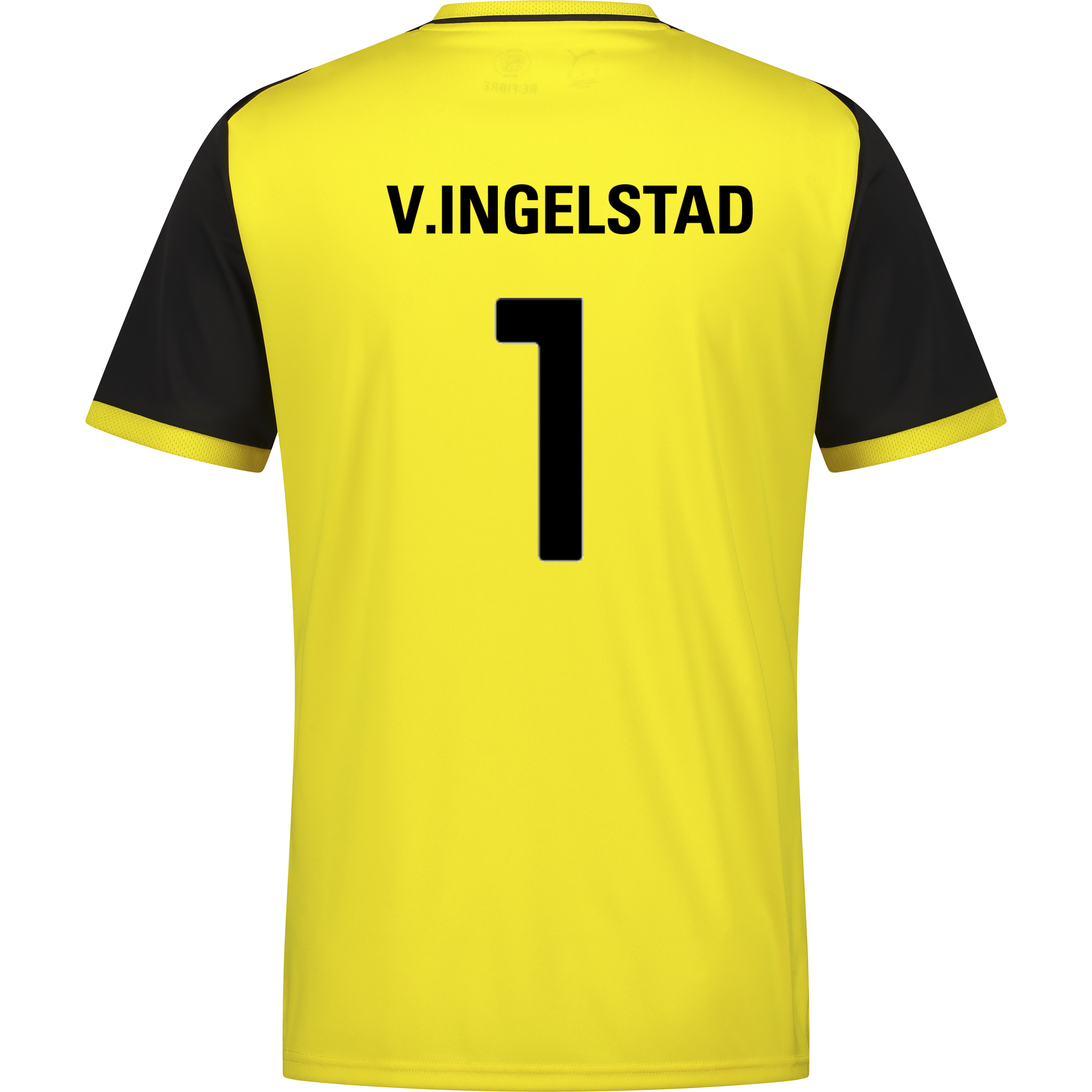 PUMA, TEAMLIGA26 MATCHDAY JERSEY