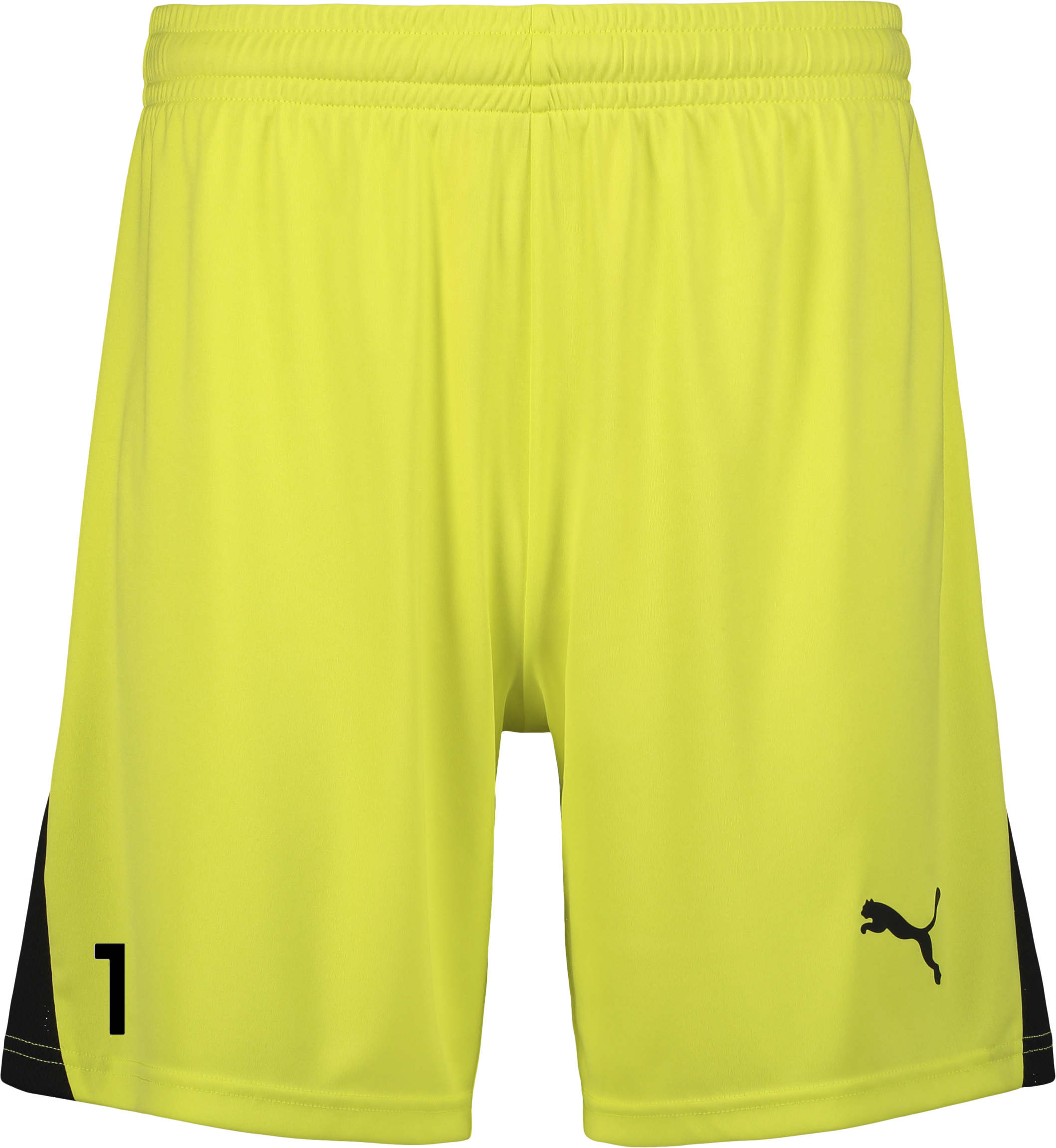 
PUMA, 
TEAMLIGA26 SHORTS, 
Detail 1
