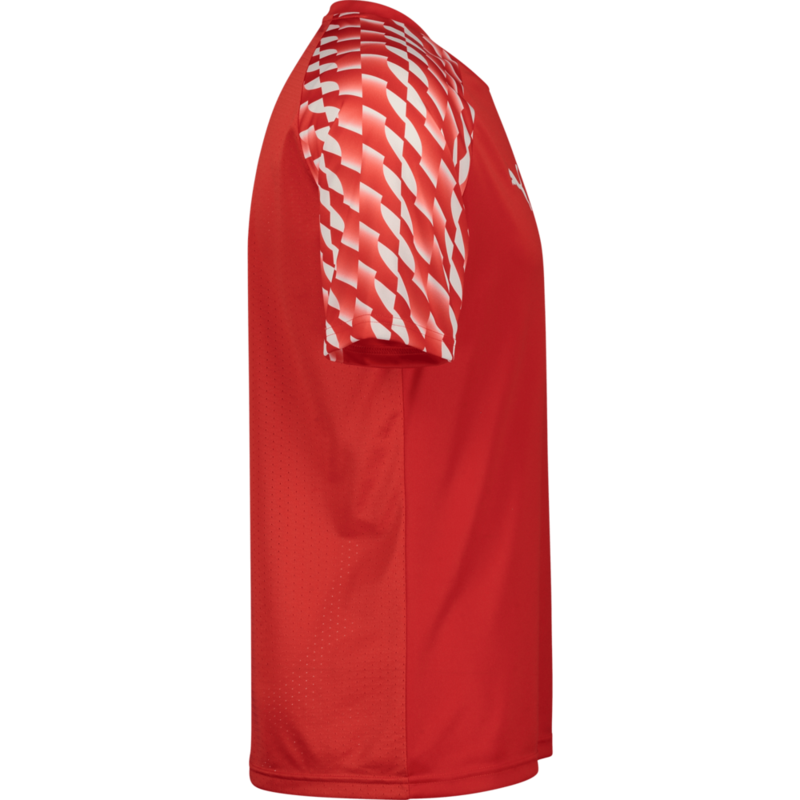 PUMA, TEAMLIGA26 JERSEY