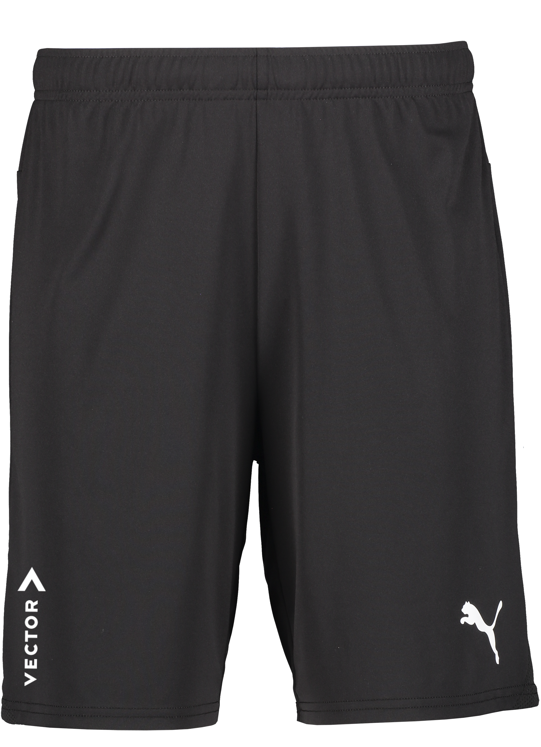 
PUMA, 
T Goal Shorts, 
Detail 1
