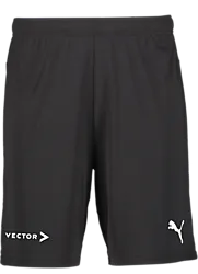 391942103101 PUMA T Goal Shorts 391942103101 PUMA T Goal Shorts Standard Small1x1