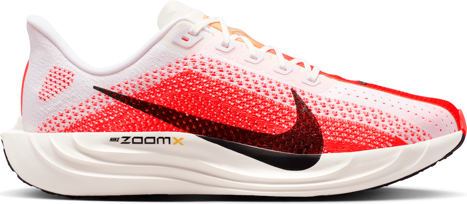 
NIKE, 
M Pegasus Plus, 
Detail 1
