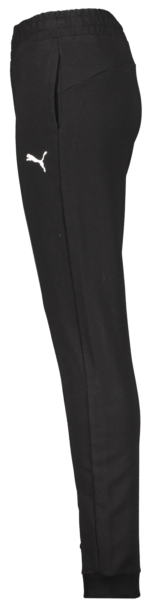 PUMA, Teamgoal Casuals Pants Wmn