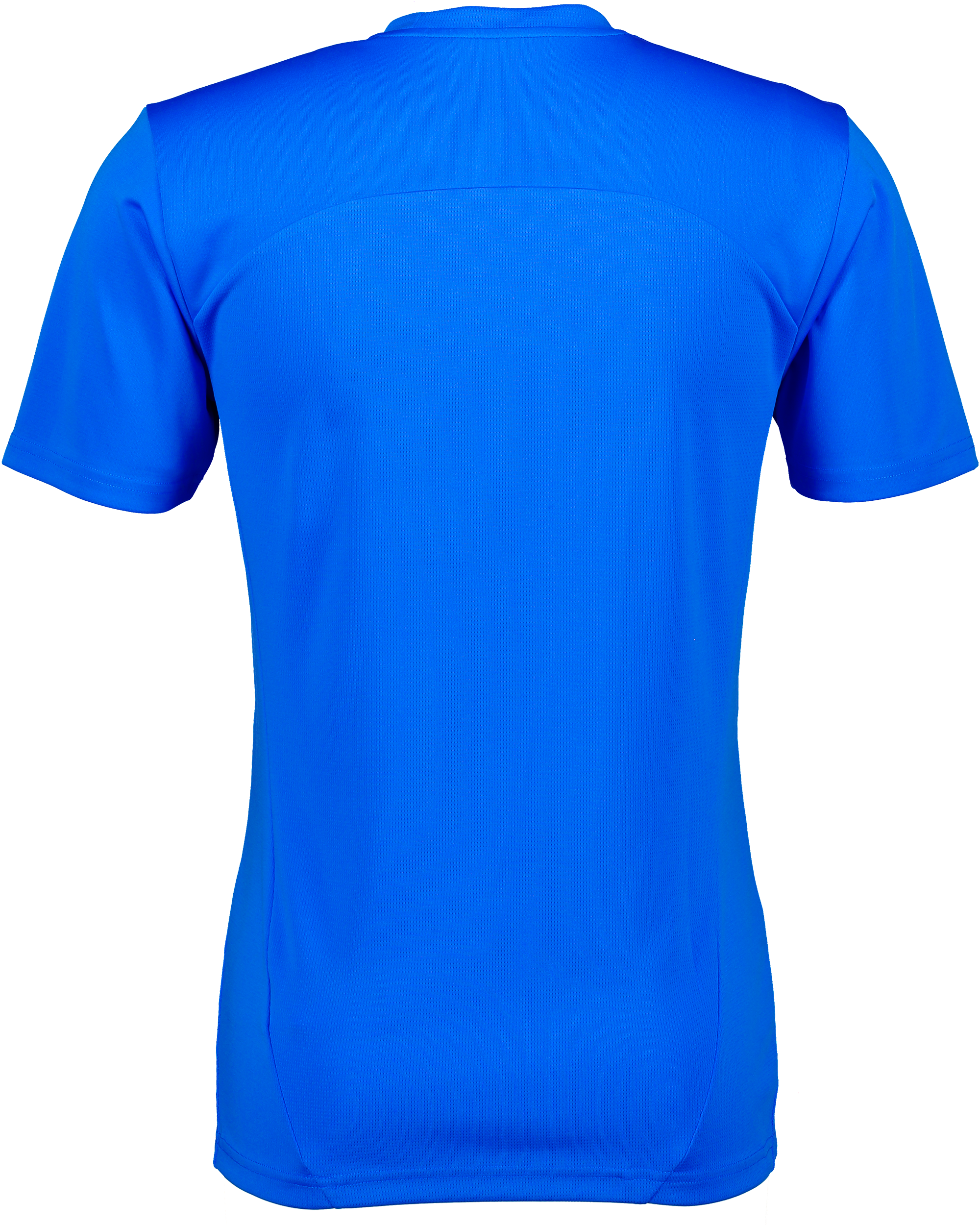 PUMA, T Final Trg Jsy