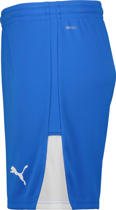 PUMA, TEAMLIGA26 SHORTS