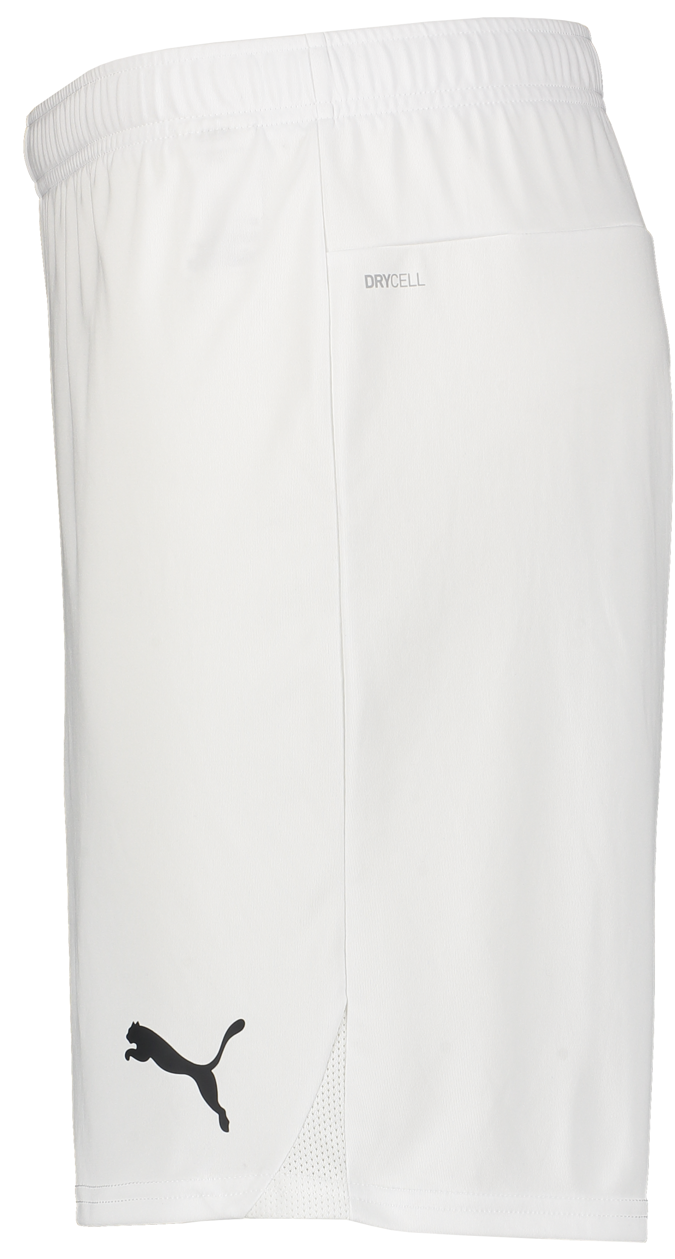 PUMA, T Goal Shorts