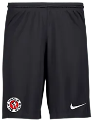 298936101101 NIKE Park III Short 298936101101 NIKE Park III Short Standard Small1x1