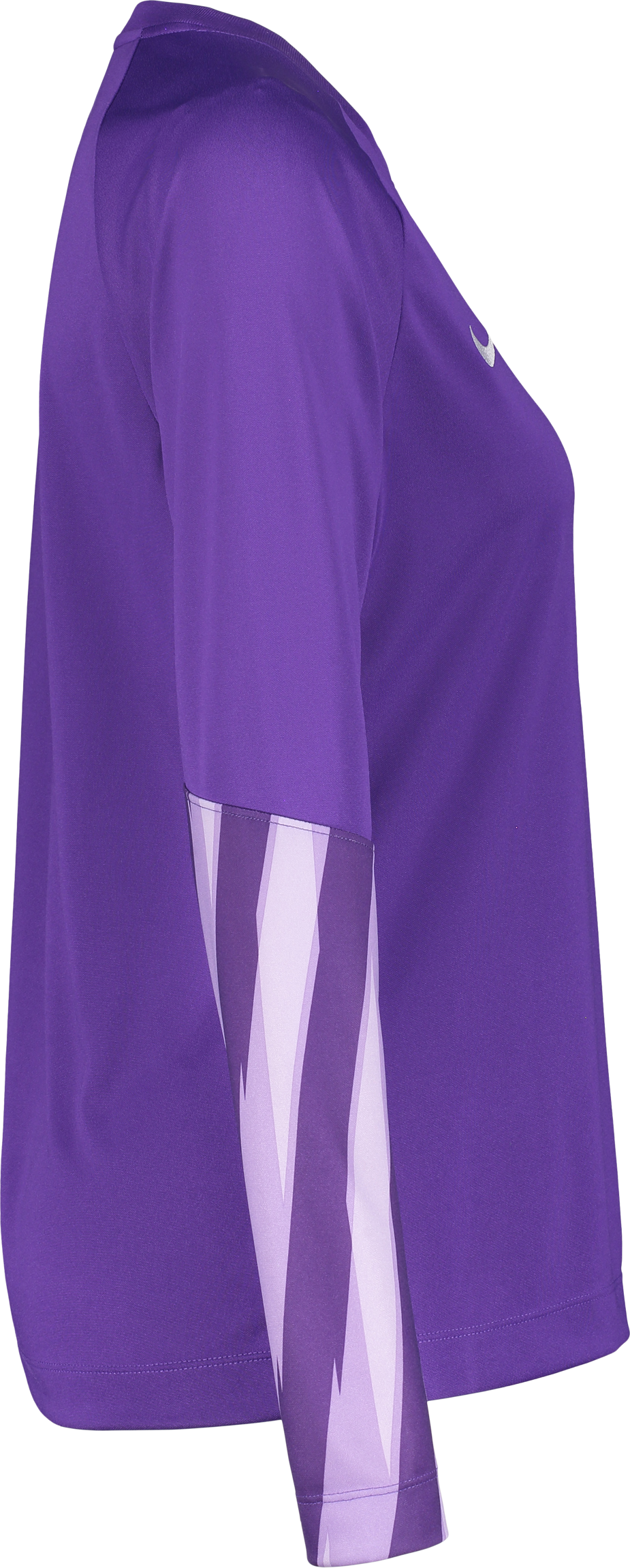 NIKE, PARK V GK LS JSY W
