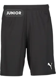 392286103101 PUMA T Goal Shorts Jr 392286103101 PUMA T Goal Shorts Jr Standard Small1x1