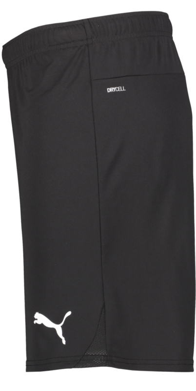 PUMA, T Goal Shorts