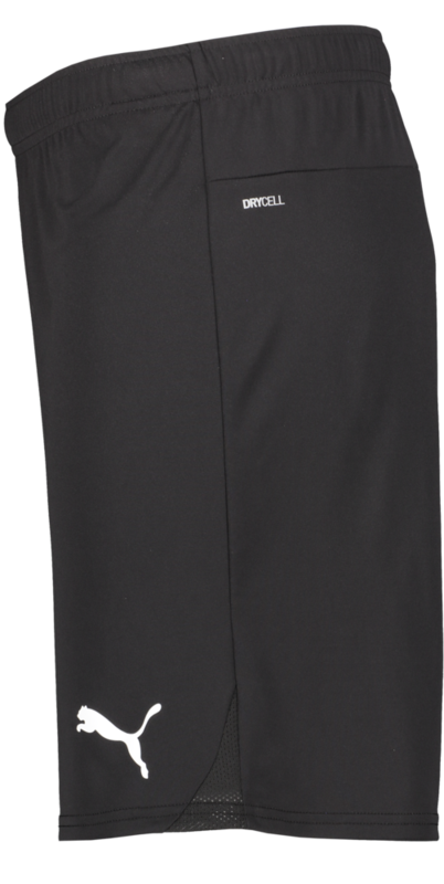 PUMA, T Goal Shorts