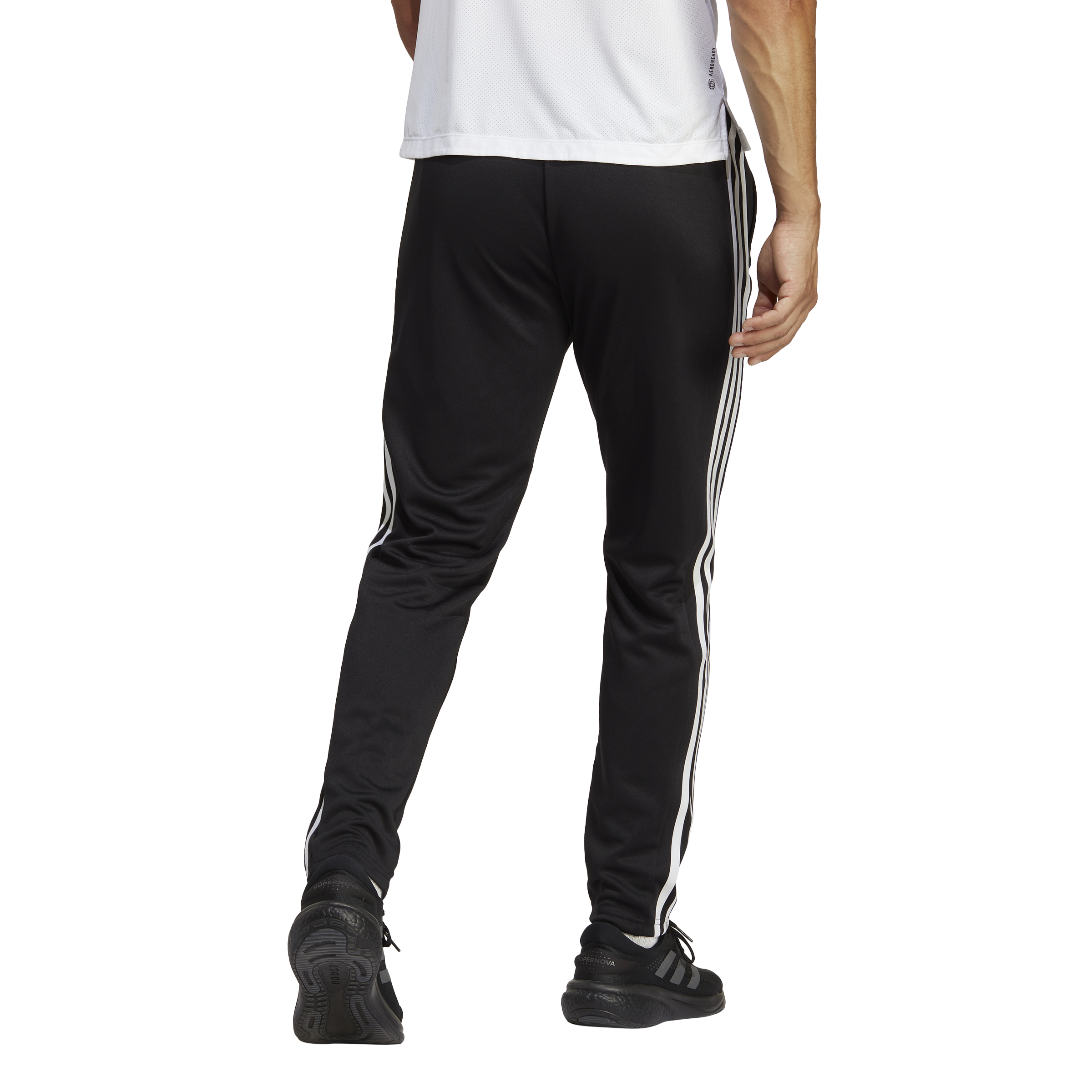 ADIDAS, TR-ES BASE 3PT