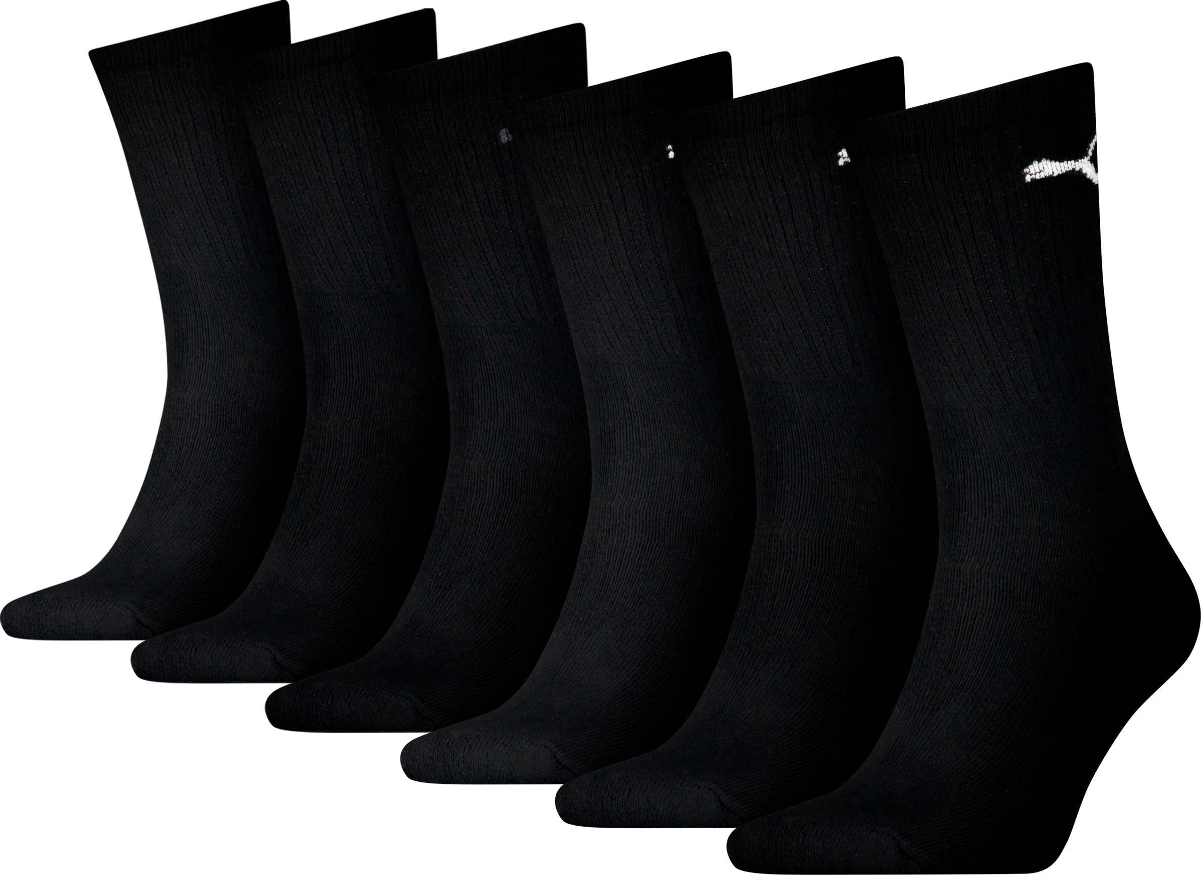 PUMA, U CREW PROMO 6P