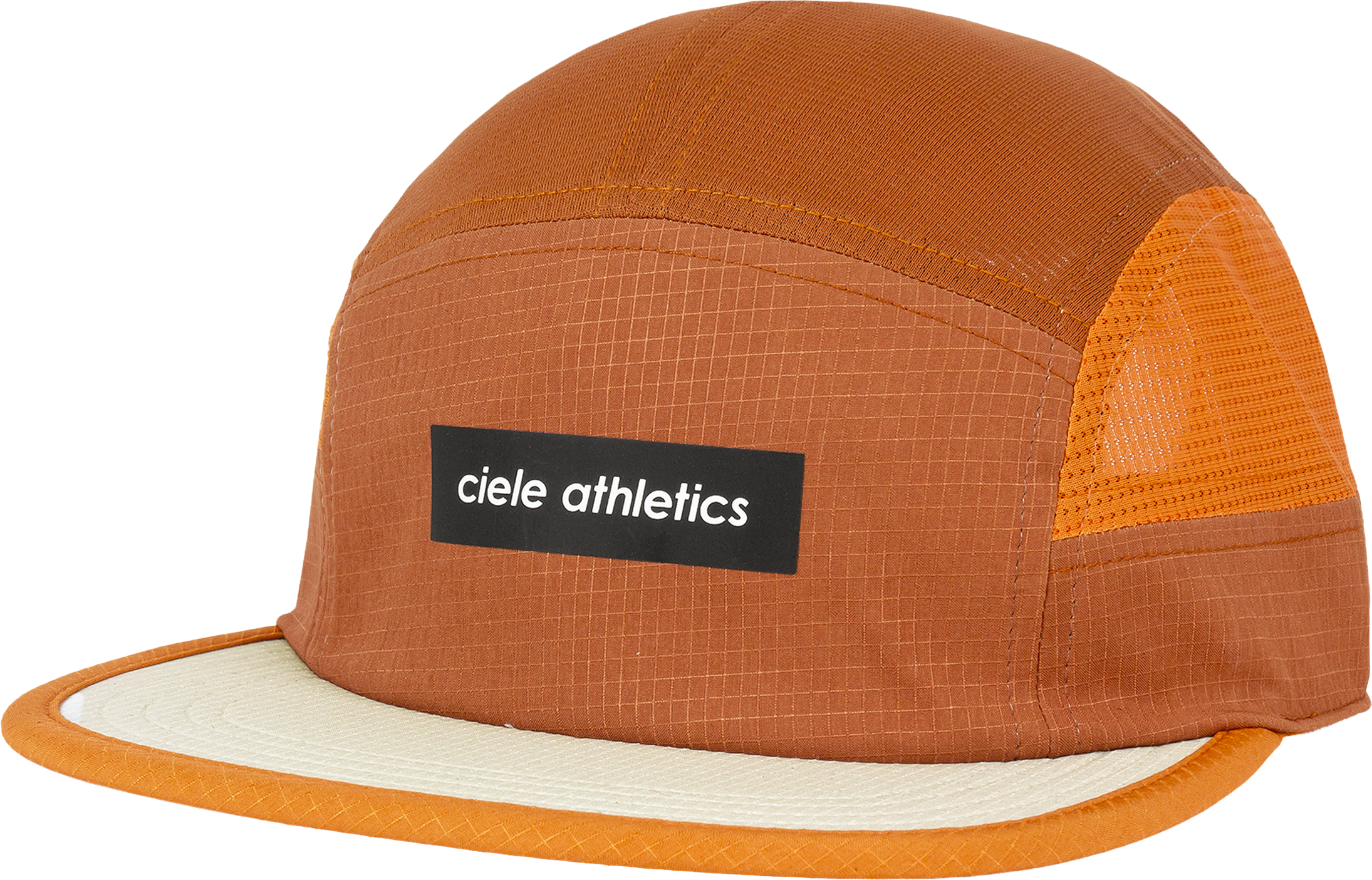 
CIELE, 
GOCAP-FIELD-ICONIC, 
Detail 1
