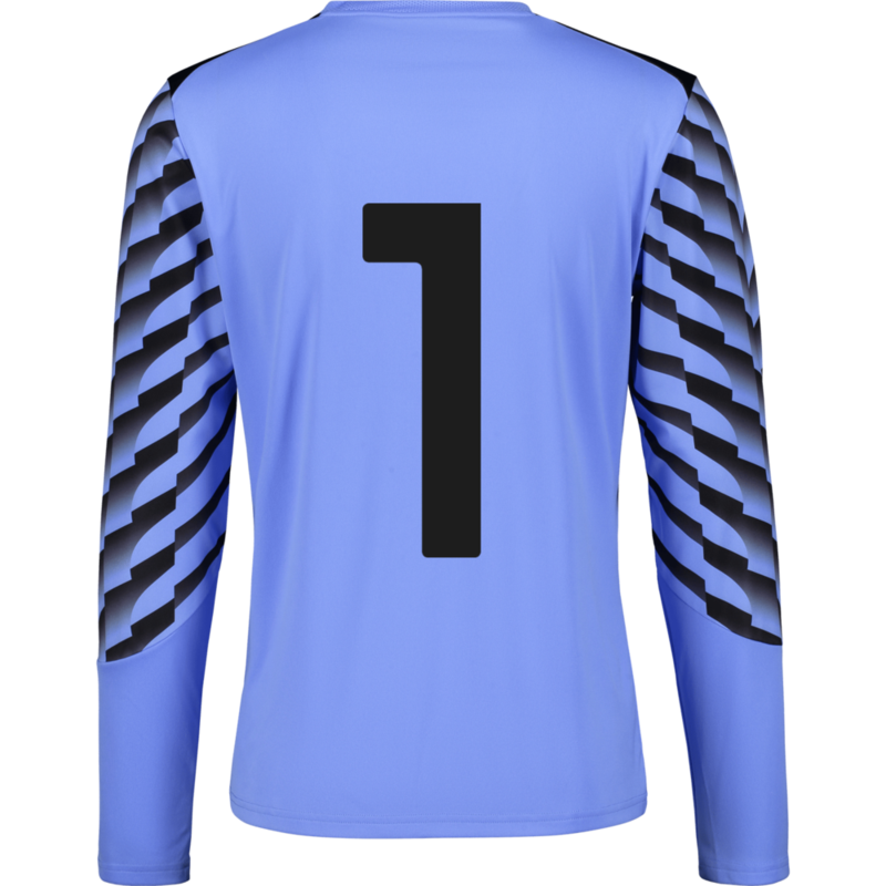 PUMA, TEAMLIGA26 GK JERSEY LS